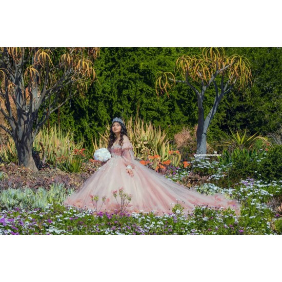 Pink Quince Dress Long Sleeve 2024 Instagram Gowns Ruffled Birthday Party Dresses Sweetheart Neck Vestidos De 15 Anos