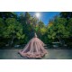 Pink Quince Dress Long Sleeve 2024 Instagram Gowns Ruffled Birthday Party Dresses Sweetheart Neck Vestidos De 15 Anos