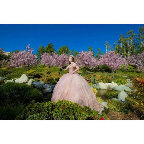 Pink Quince Dress Sweetheart Neck 2024 Instagram Gowns 3D Flowers Birthday Party Dresses Off Shoulder Vestidos De 15 Anos