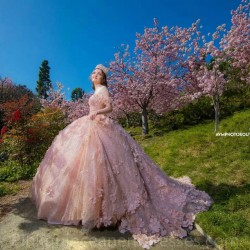 Pink Quince Dress Sweetheart Neck 2024 Instagram Gowns 3D Flowers Birthday Party Dresses Off Shoulder Vestidos De 15 Anos