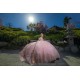 Pink Quince Dress Sweetheart Neck 2024 Instagram Gowns 3D Flowers Birthday Party Dresses Off Shoulder Vestidos De 15 Anos