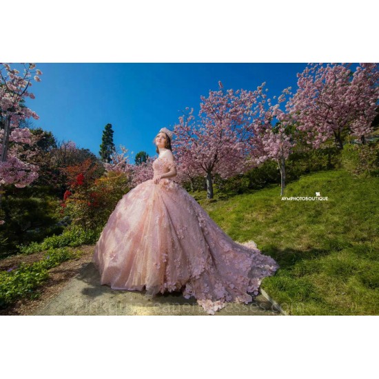 Pink Quince Dress Sweetheart Neck 2024 Instagram Gowns 3D Flowers Birthday Party Dresses Off Shoulder Vestidos De 15 Anos