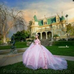 Pink Quince Dress Sweetheart Neck Birthday Party Dresses Off Shoulder Vestidos De 15 Anos 3D Flowers 2024 Instagram Gowns