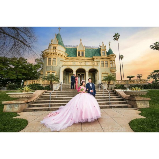 Pink Quince Dress Sweetheart Neck Birthday Party Dresses Off Shoulder Vestidos De 15 Anos 3D Flowers 2024 Instagram Gowns