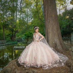 Pink Quinceanera Dress Cape Sleeve 2024 Ball Gown Princess Dresses Sweetheart Neck Sweet 15 Gowns 3D Flowers Wear Pageant