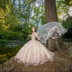 Pink Quinceanera Dress Cape Sleeve 2024 Ball Gown Princess Dresses Sweetheart Neck Sweet 15 Gowns 3D Flowers Wear Pageant