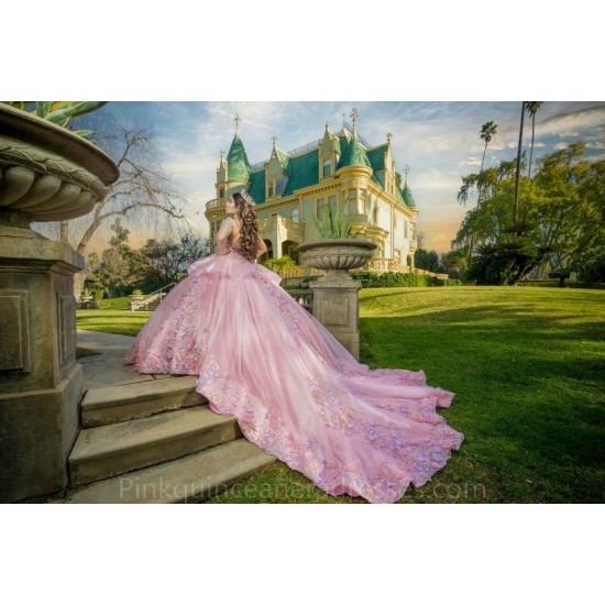 3D Flowers Pink Quinceanera Dress Long Sleeve Wear Pageant 2024 Ball Gown Princess Dresses Sweetheart Sweet 15 Gowns