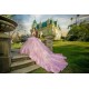 3D Flowers Pink Quinceanera Dress Long Sleeve Wear Pageant 2024 Ball Gown Princess Dresses Sweetheart Sweet 15 Gowns