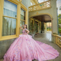 3D Flowers Pink Quinceanera Dress Long Sleeve Wear Pageant 2024 Ball Gown Princess Dresses Sweetheart Sweet 15 Gowns