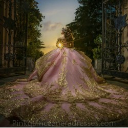 Sweet 15 Gowns Pink Quinceanera Dress Sweetheart Neck Long Sleeve Wear Pageant Lace Appliques 2024 Ball Gown Princess Dresses