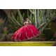 2024 Instagram Gowns Red Quince Dress Sweetheart Neck Birthday Party Dresses Lace Appliques Sleeveless Vestidos De 15 Anos