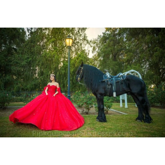 Lace Appliques Red Quinceanera Dress 2024 Ball Gown Princess Dresses Off Shoulder Wear Pageant Sweetheart Neck Sweet 15 Gowns