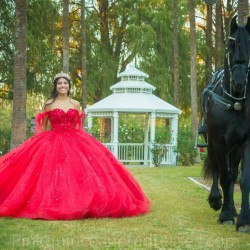 Lace Appliques Red Quinceanera Dress 2024 Ball Gown Princess Dresses Off Shoulder Wear Pageant Sweetheart Neck Sweet 15 Gowns