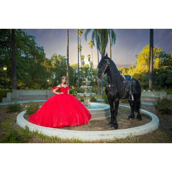 Lace Appliques Red Quinceanera Dress 2024 Ball Gown Princess Dresses Off Shoulder Wear Pageant Sweetheart Neck Sweet 15 Gowns