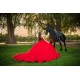 Sleeveless Red Quinceanera Dress 2024 Ball Gown Princess Dresses Sweetheart Neck Sweet 15 Gowns Lace Appliques Wear Pageant