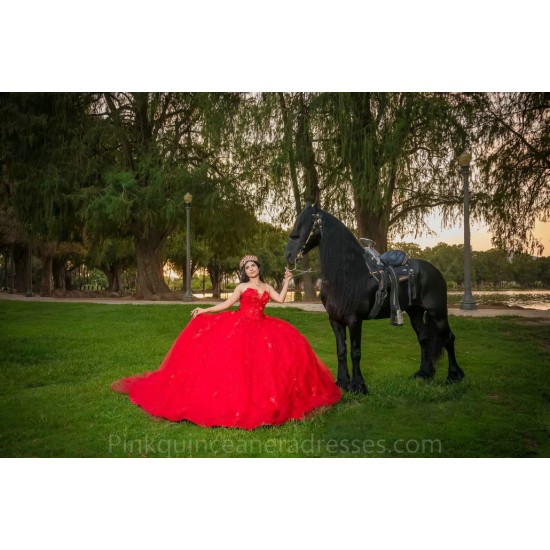 Sleeveless Red Quinceanera Dress 2024 Ball Gown Princess Dresses Sweetheart Neck Sweet 15 Gowns Lace Appliques Wear Pageant