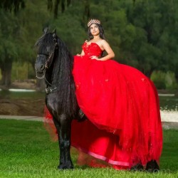 Sleeveless Red Quinceanera Dress 2024 Ball Gown Princess Dresses Sweetheart Neck Sweet 15 Gowns Lace Appliques Wear Pageant