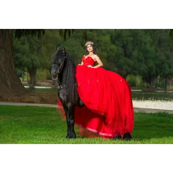 Sleeveless Red Quinceanera Dress 2024 Ball Gown Princess Dresses Sweetheart Neck Sweet 15 Gowns Lace Appliques Wear Pageant