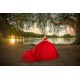 Sleeveless Red Quinceanera Dress 2024 Ball Gown Princess Dresses Sweetheart Neck Sweet 15 Gowns Lace Appliques Wear Pageant