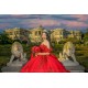 Sweetheart Neck Red Quinceanera Dress Sweet 15 Gowns Off Shoulder Wear Pageant Lace Appliques 2024 Ball Gown Princess Dresses