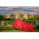 Sweetheart Neck Red Quinceanera Dress Sweet 15 Gowns Off Shoulder Wear Pageant Lace Appliques 2024 Ball Gown Princess Dresses