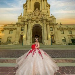 Rose Gold Quinceanera Dress Sleeveless Wear Pageant Lace Appliques 2024 Ball Gown Princess Dresses Sweetheart Sweet 15 Gowns