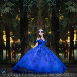 Royal Blue Quince Dress Sweetheart Neck Birthday Party Dresses Off Shoulder Vestidos De 15 Anos Lace Appliques 2024 Instagram Gowns