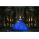 Royal Blue Quince Dress Sweetheart Neck Birthday Party Dresses Off Shoulder Vestidos De 15 Anos Lace Appliques 2024 Instagram Gowns