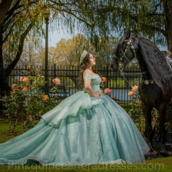 Off Shoulder Sage Green Quinceanera Dress Sweet 15 Gowns Sweetheart Neck Wear Pageant Pearl 2024 Ball Gown Princess Dresses