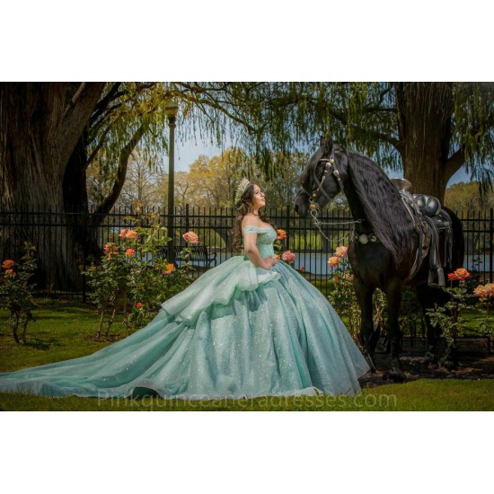 Off Shoulder Sage Green Quinceanera Dress Sweet 15 Gowns Sweetheart Neck Wear Pageant Pearl 2024 Ball Gown Princess Dresses