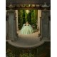 Sage Green Quinceanera Dress Sweetheart Neck Sweet 15 Gowns Detachable Wear Pageant Lace Appliques 2024 Ball Gown Princess Dresses