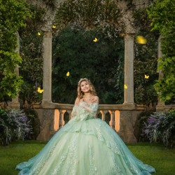 Sage Green Quinceanera Dress Sweetheart Neck Sweet 15 Gowns Detachable Wear Pageant Lace Appliques 2024 Ball Gown Princess Dresses