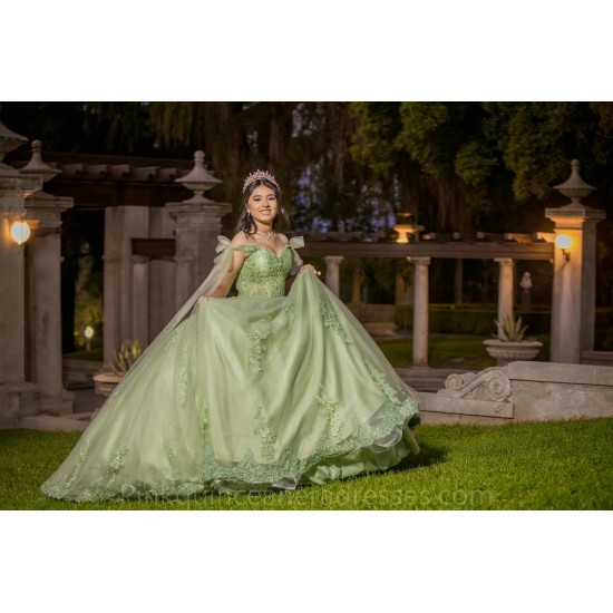 Sweetheart Neck Sage Green Quinceanera Dress Sweet 15 Gowns Wear Pageant Lace Appliques 2024 Ball Gown Princess Dresses With Cape Sleeve