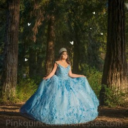 Cape Sleeve Sky Blue Quinceanera Dress Wear Pageant 3D Flowers 2024 Ball Gown Princess Dresses Sweetheart Sweet 15 Gowns