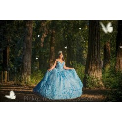 Cape Sleeve Sky Blue Quinceanera Dress Wear Pageant 3D Flowers 2024 Ball Gown Princess Dresses Sweetheart Sweet 15 Gowns