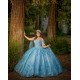 Cape Sleeve Sky Blue Quinceanera Dress Wear Pageant 3D Flowers 2024 Ball Gown Princess Dresses Sweetheart Sweet 15 Gowns