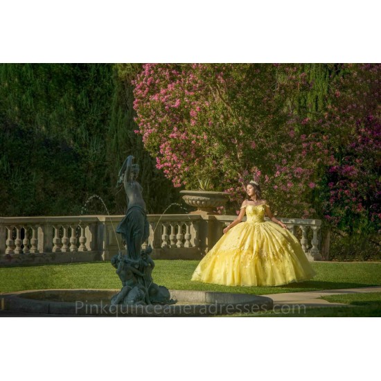 2024 Ball Gown Princess Dresses Yellow Quinceanera Dress Off Shoulder  Lace Appliques Wear Pageant Sweetheart Neck Sweet 15 Gowns