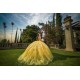 2024 Ball Gown Princess Dresses Yellow Quinceanera Dress Off Shoulder  Lace Appliques Wear Pageant Sweetheart Neck Sweet 15 Gowns