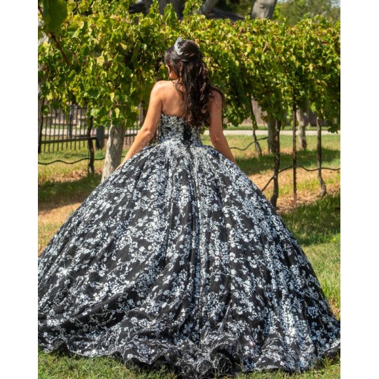 Silver On Black Quince Dress Sleeveless Instagram Gowns Lace Appliques Wear Pageant Vestidos De 15 Anos