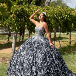 Silver On Black Quince Dress Sleeveless Instagram Gowns Lace Appliques Wear Pageant Vestidos De 15 Anos