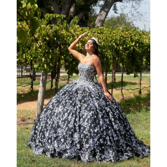 Silver On Black Quince Dress Sleeveless Instagram Gowns Lace Appliques Wear Pageant Vestidos De 15 Anos