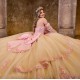 Sleeveless Champagne On Pink Quinceanera Dress Sweet 15 Gowns 3D Flowers Wear Pageant Sweetheart Neck 2024 Ball Gown Princess Dresses With Bow