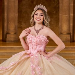 Sleeveless Champagne On Pink Quinceanera Dress Sweet 15 Gowns 3D Flowers Wear Pageant Sweetheart Neck 2024 Ball Gown Princess Dresses With Bow