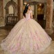 Off Shoulder Champagne Quince Dress Instagram Gowns 3D Flowers Wear Pageant V Neck Vestidos De 15 Anos