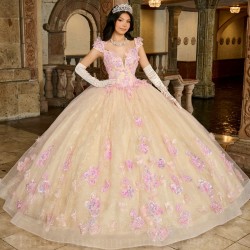 Off Shoulder Champagne Quince Dress Instagram Gowns 3D Flowers Wear Pageant V Neck Vestidos De 15 Anos