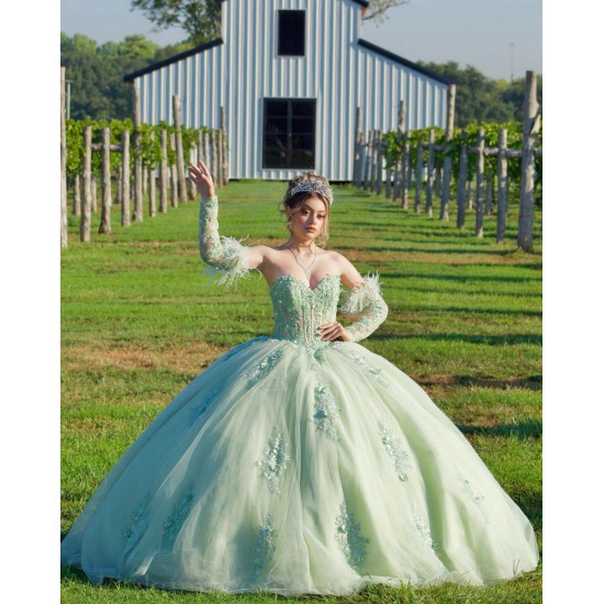 Sage Green Quince Dress Detachable Instagram Gowns Lace Appliques Wear Pageant Sweetheart Neck Vestidos De 15 Anos With Bow