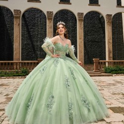 Detachable Sage Green Quince Dress Lace Appliques Wear Pageant Instagram Gowns Sweetheart Neck Vestidos De 15 Anos With Bow