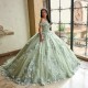 Sage Green Quinceanera Dress Off Shoulder Sweet 15 Gowns 3D Flowers Wear Pageant V Neck 2024 Ball Gown Princess Dresses