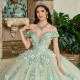 Sage Green Quinceanera Dress Off Shoulder Sweet 15 Gowns 3D Flowers Wear Pageant V Neck 2024 Ball Gown Princess Dresses