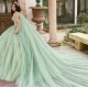 Sleeveless Sage Green Quinceanera Dress Sweet 15 Gowns Lace Appliques Wear Pageant V Neck 2024 Ball Gown Princess Dresses With 3D Flowers